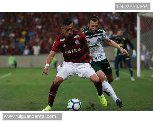 帕梅拉斯与布拉干RB的精彩对决谁能在赛场上笑到最后