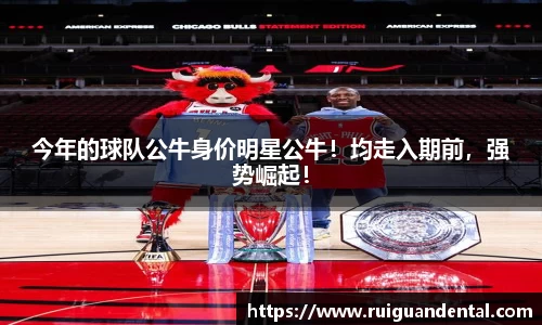 今年的球队公牛身价明星公牛！均走入期前，强势崛起！