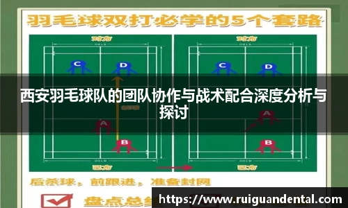 西安羽毛球队的团队协作与战术配合深度分析与探讨