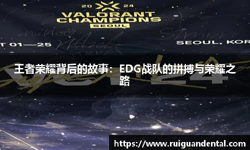 王者荣耀背后的故事：EDG战队的拼搏与荣耀之路