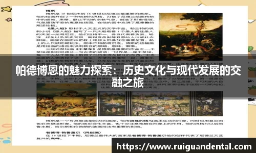 帕德博恩的魅力探索：历史文化与现代发展的交融之旅